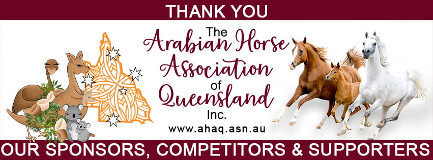 Thank you to our Summer Show participants
