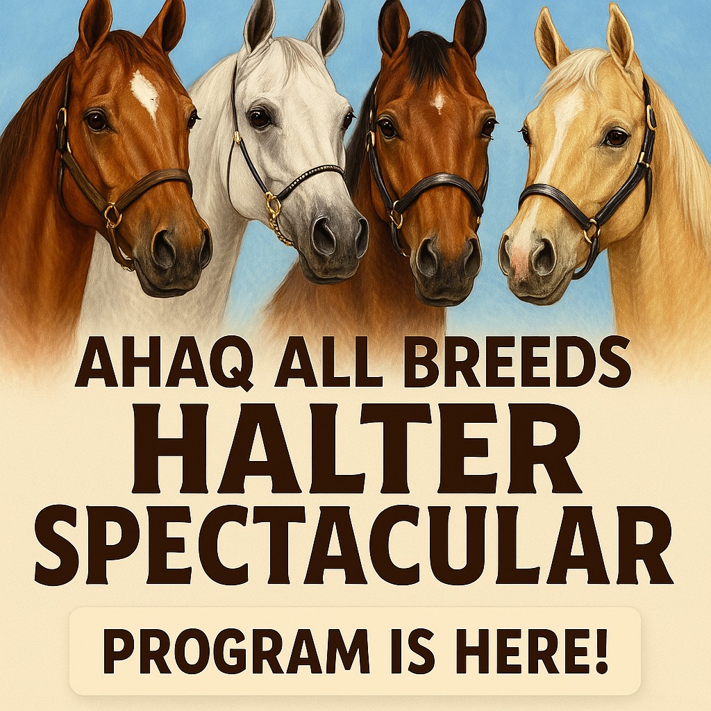 AHAQ All Breeds Halter Spectacular