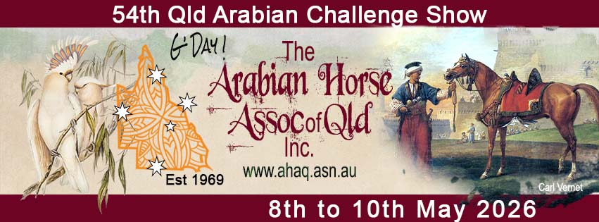 The Arabian Horse Association Qld Home Page